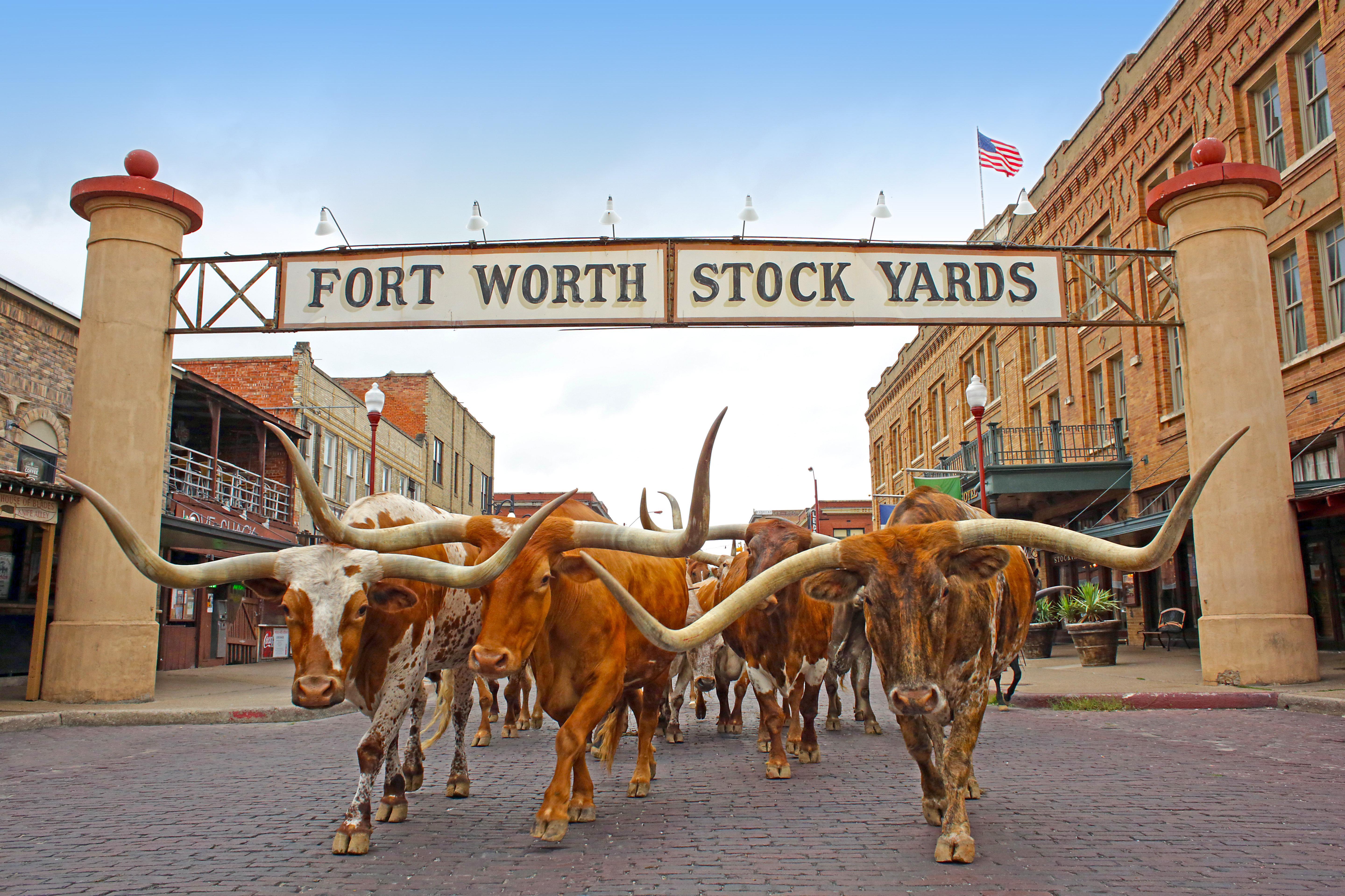 Holiday Inn Express Hotel And Suites Fort Worth/I-20 Ngoại thất bức ảnh